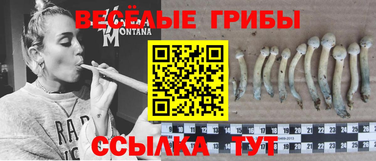 Галлюциногенные грибы прущие грибы Еманжелинск