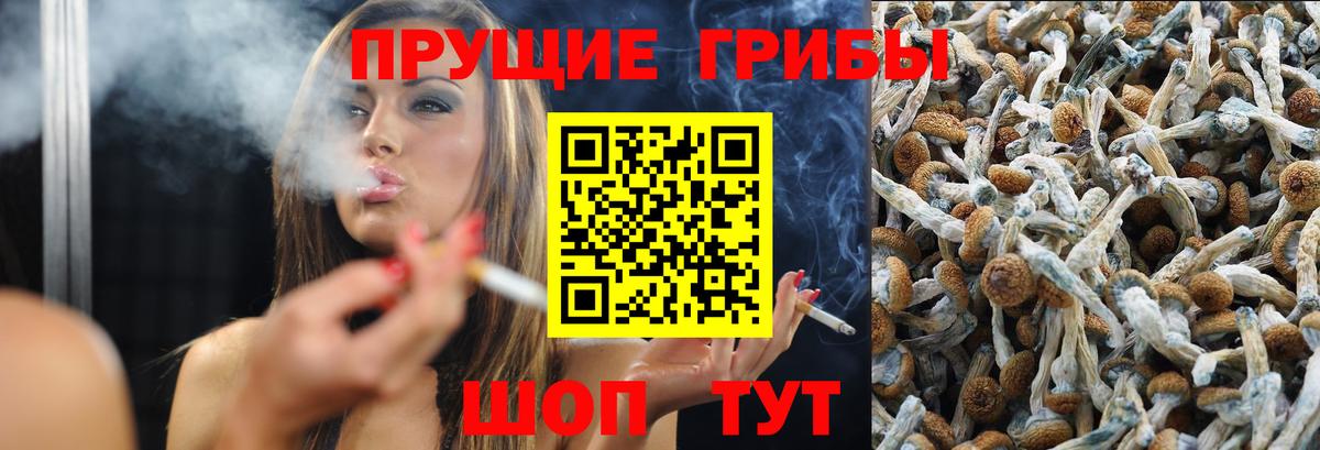 Еманжелинск  Галлюциногенные грибы прущие грибы  как найти закладки  Галлюциногенные грибы прущие грибы  Вход с VPN 